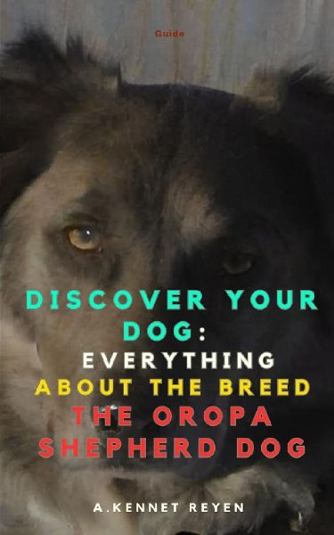 Discover your Dog: Everything about the breed The Oropa Shepherd Dog