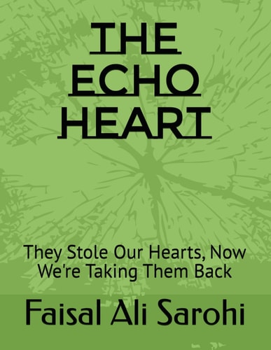 The Echo Heart They Stole Our Hearts, Now We're Taking Them Back