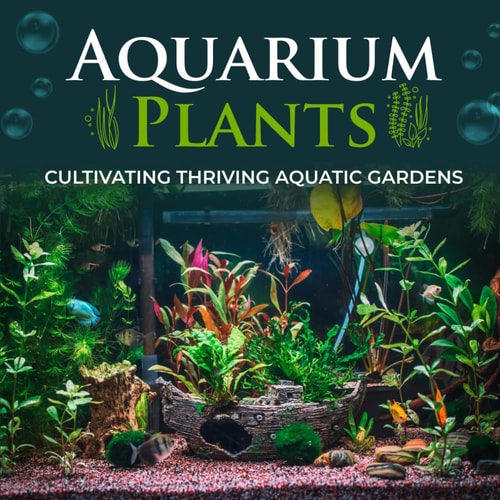 Aquarium Plants Cultivating Thriving Aquatic Gardens