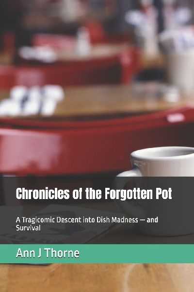 Chronicles of the Forgotten Pot: A Tragicomic Descent into Dish Madness - and Survival
