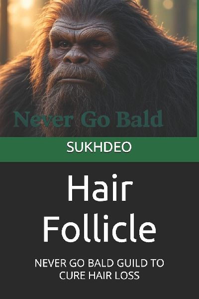 Hair Follicle: NEVER GO BALD GUILD TO CURE HAIR LOSS
