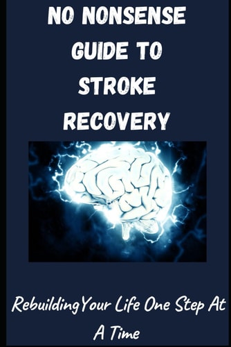 No-Nonsense Guide To Stroke Rocovery Rebuilding Your Life One Step At A Time