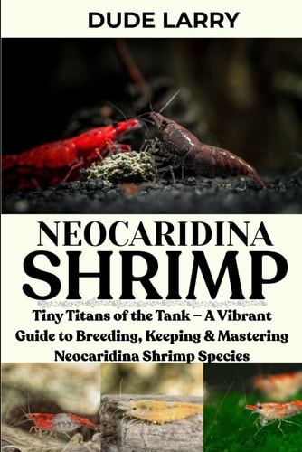 Neocaridina Shrimp Tiny Titans of the Tank - A Vibrant Guide to Breeding, Keeping & Mastering Neocaridina Shrimp Species