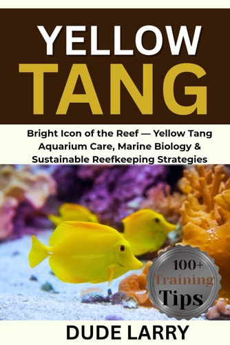 Yellow Tang Bright Icon of the Reef - Yellow Tang Aquarium Care, Marine Biology & Sustainable Reefkeeping Strategies