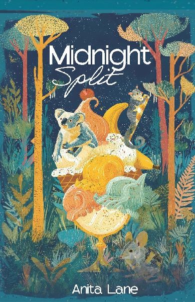 Midnight Split: A Short Novel for Year 3 Australian children