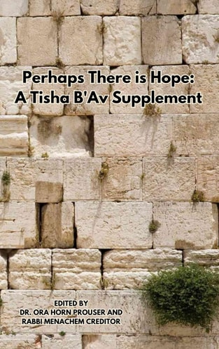 Perhaps There is Hope A Tisha B'Av Supplement