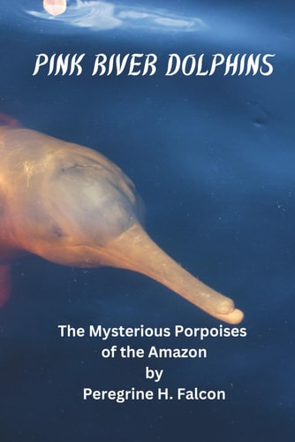Pink River Dolphins The Mysterious Porpoises of the Amazon