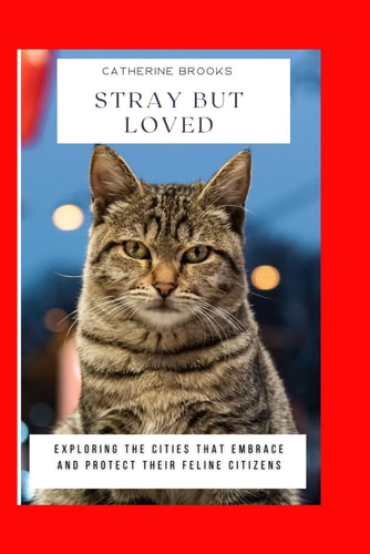 Stray But Loved Exploring the Cities That Embrace and Protect Their Feline Citizens