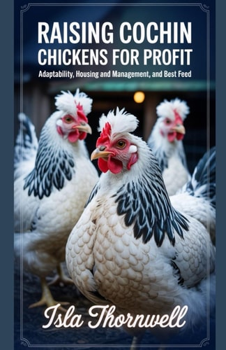 Raising Cochin Chickens for Profit Adaptability, Housing and Management, And Best Feed
