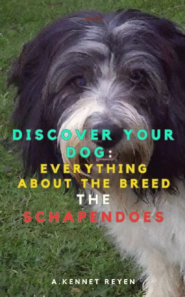 Discover your Dog: Everything about the breed: The Schapendoes