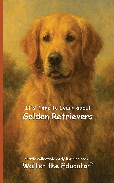 Its Time to Learn about Golden Retrievers