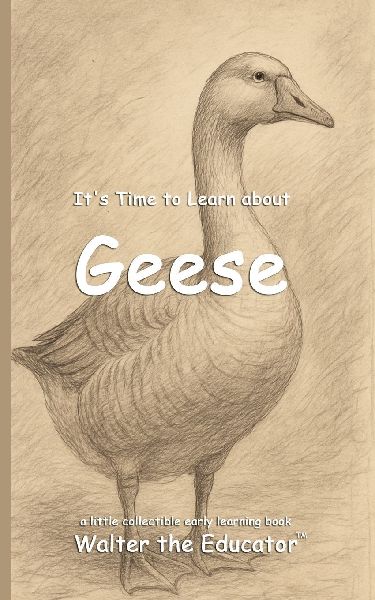 Its Time to Learn about Geese
