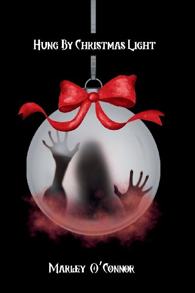 Hung By Christmas Light