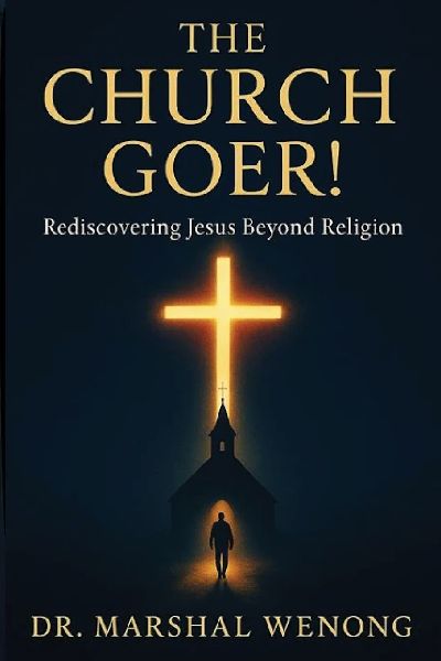 THE CHURCH GOER!: Rediscovering Jesus Beyond Religion