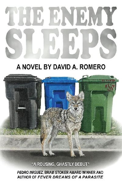 The Enemy Sleeps