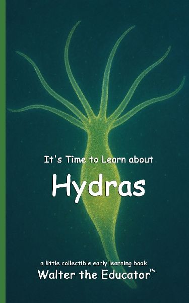 Its Time to Learn about Hydras