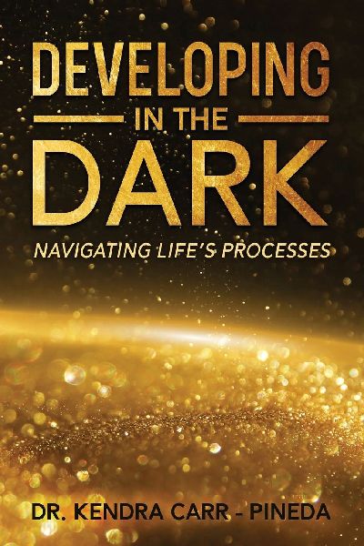Developing In The Dark: Navigating Lifes Processes
