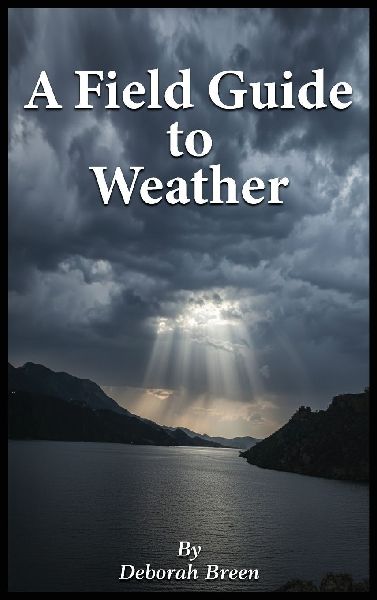 A Field Guide To Weather