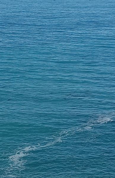 Ever Adrift: Down North
