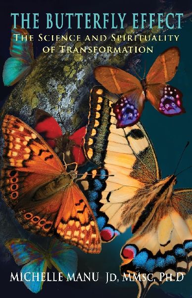 The Butterfly Effect