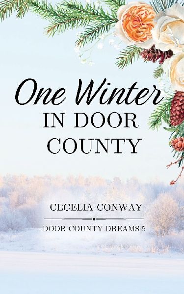 One Winter in Door County: An Enemies to Lovers Small Town Romance
