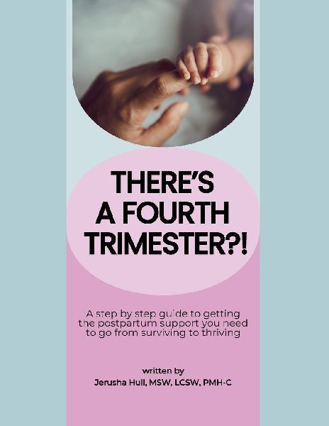 Theres a Fourth Trimester?!: A step by step guide to getting the postpartum support you need to go from surviving to thriving