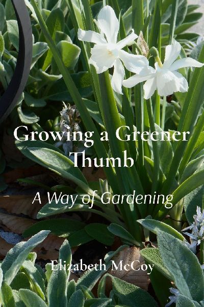 Growing a Greener Thumb: A Way of Gardening