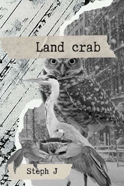 Land Crab