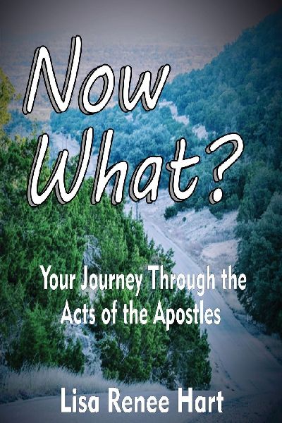Now What? Your Journey Through the Acts of the Apostles