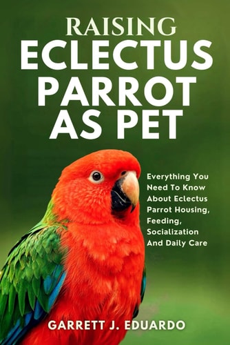 Raising Eclectus Parrot As Pet Everything You Need To Know About Eclectus Parrot Housing, Feeding, Socialization And Daily Care