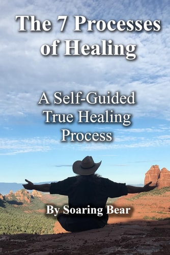The 7 Processes of Healing A Self-Guided True Healing Process