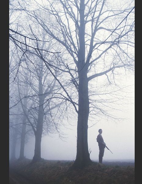 Trigger Warning: Short Stories and Poetry