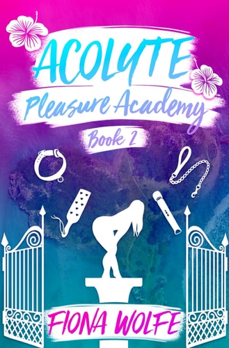 Acolyte A Steamy Contemporary Rom-Com