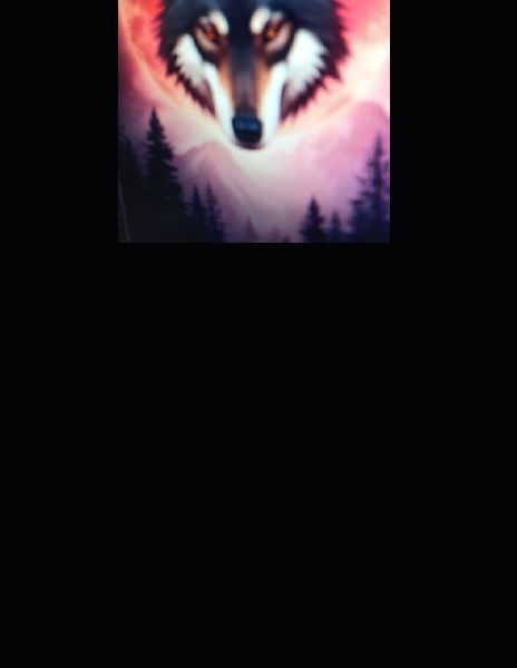 Wolf Alpha Soulmates Verva and Luke book 2