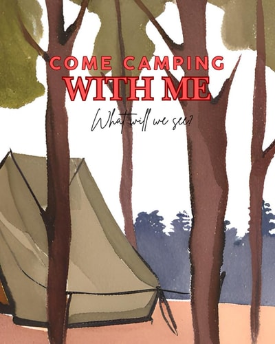 Come Camping With Me What Will We See?