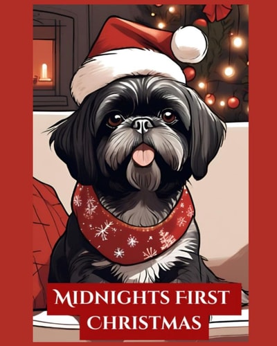 Midnights First Christmas