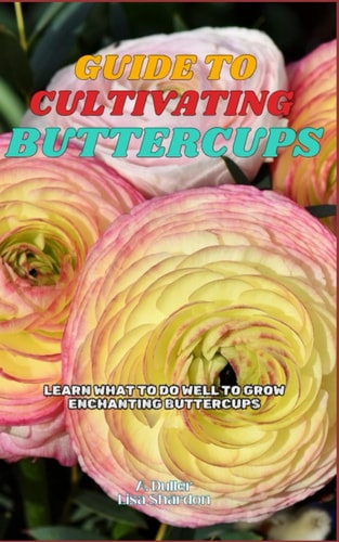 Guide to Cultivating Buttercups Learn what to Do Well to Grow Enchanting Buttercups
