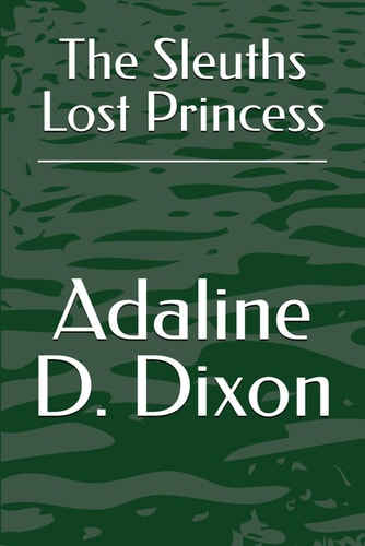 The Sleuths Lost Princess
