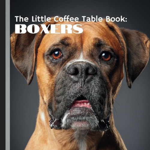 The Little Coffee Table Book Boxers: Perfect for Boxer Enthusiasts, Dog Lovers, and Anyone who Appreciates a Good Companion, this Book Captures what Makes Boxers So Extraordinary.