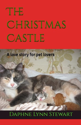 The Christmas Castle A Love Story for Pet Lovers