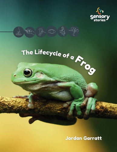 The Lifecycle of a Frog A Sensory Story