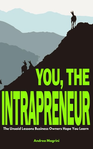You, the Intrapreneur The Unsaid Lessons Business Owners Hope You Learn