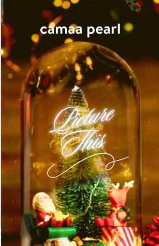 Picture This A Christmas Short