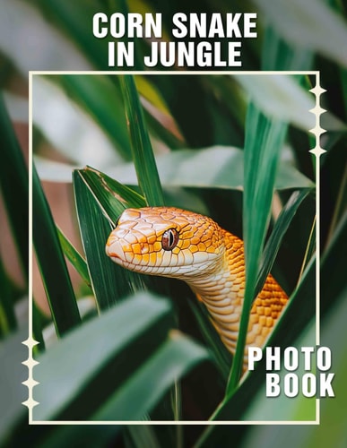 Corn Snake In Jungle Photo Book Explore Stunning Jungle Scenes Featuring Corn Snakes Captured In 40 Vibrant Images