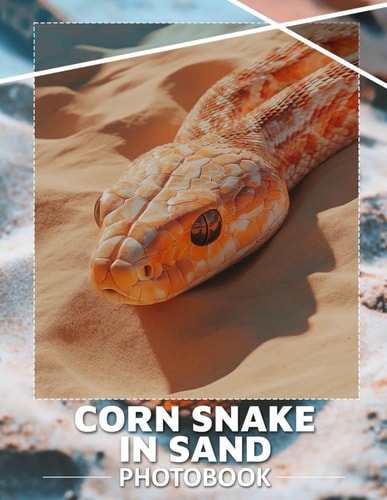 Corn Snake In Sand Photo Book Stunning 40 Image Collection Showcasing Beautiful Serpents In Natural Desert Habitat