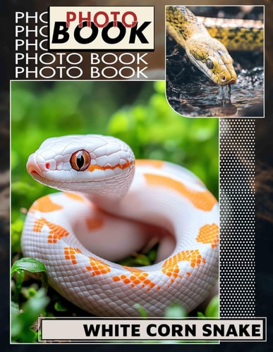 White Corn Snake Photo Book Explore 40 Stunning Images Of Unique Reptiles For Enthusiasts And Nature Lovers