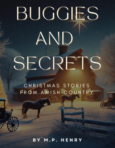 Buggies and Secrets Christmas Stories from Amish Country