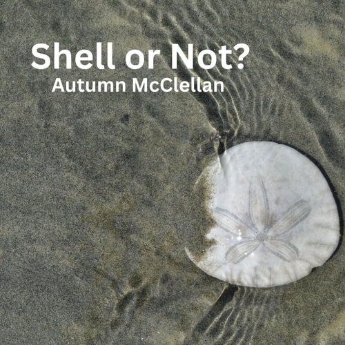 Shell Or Not?