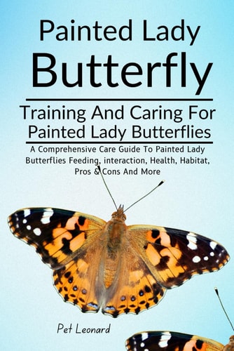 Painted Lady Butterfly A Comprehensive Care Guide To Painted Lady Butterflies Feeding, Interaction, Health, Habitat, Pros & Cons And More