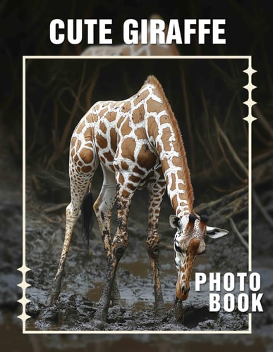 Cute Giraffe Photo Book Delightful Collection Featuring Adorable Giraffes Captured In Stunning Quality Images